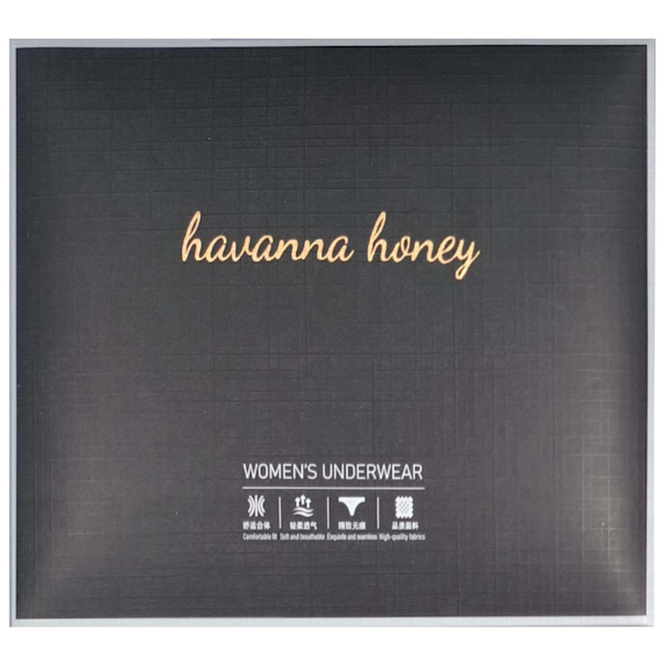 Havana Honey Ladies Underwear 5-Pack Seamless Soft Stretch Briefs - 2XL