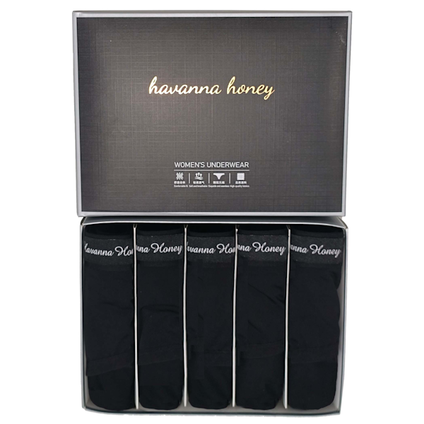 Havana Honey Ladies Underwear 5-Pack Seamless Soft Stretch Briefs - 2XL