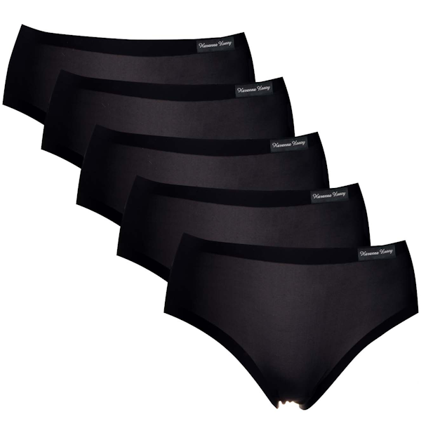Havana Honey Ladies Underwear 5-Pack Seamless Soft Stretch Briefs - Large