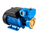 XX RUIQI 370W ELECTRIC PUMP