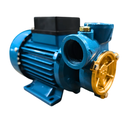 RUIQI DB-125 Electric Clean Water Pump 125W 0.5HP Vortex Pump for Home