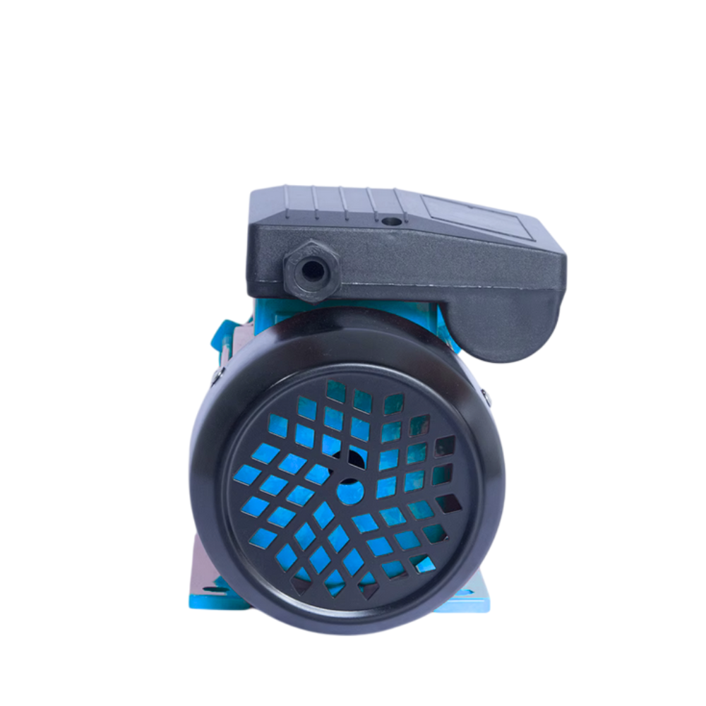 RUIQI DB-125 Electric Clean Water Pump 125W 0.5HP Vortex Pump for Home