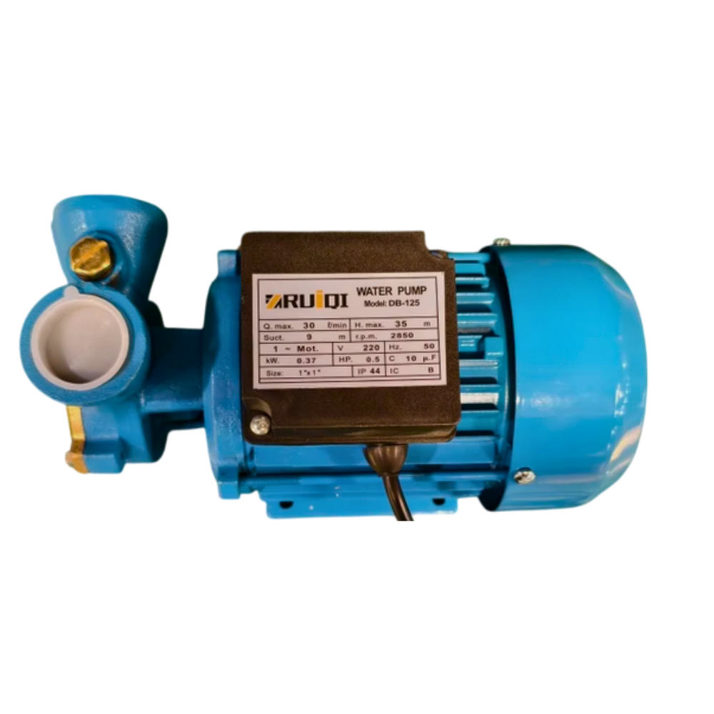 RUIQI DB-125 Electric Clean Water Pump 125W 0.5HP Vortex Pump for Home